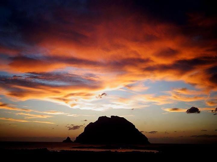 Porto San Paolo A 50 Mt Dal Mare Villa Oda fotoğraf