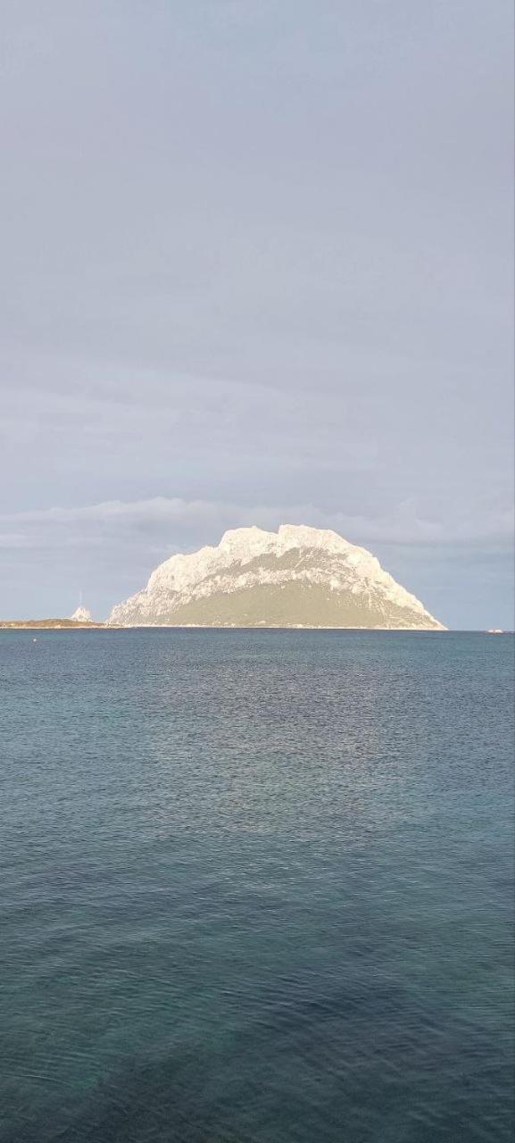 Porto San Paolo A 50 Mt Dal Mare Villa Oda fotoğraf