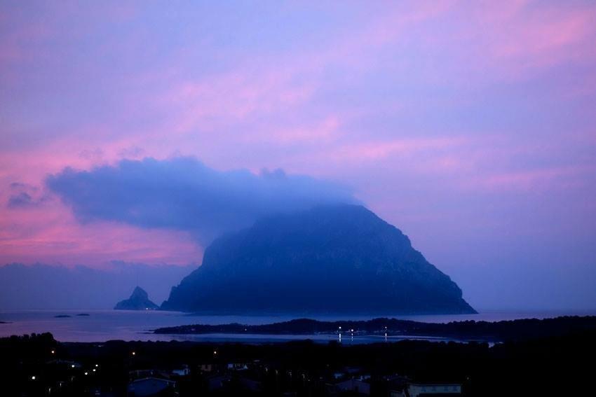 Porto San Paolo A 50 Mt Dal Mare Villa Oda fotoğraf