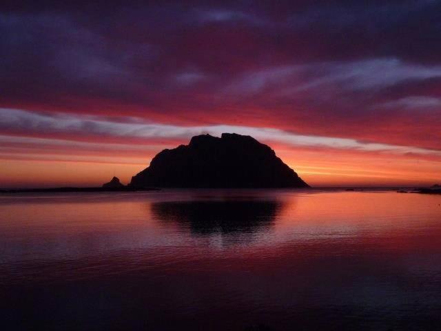 Porto San Paolo A 50 Mt Dal Mare Villa Oda fotoğraf