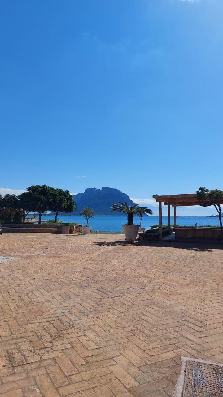 Porto San Paolo A 50 Mt Dal Mare Villa Oda fotoğraf