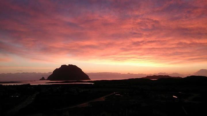 Porto San Paolo A 50 Mt Dal Mare Villa Oda fotoğraf
