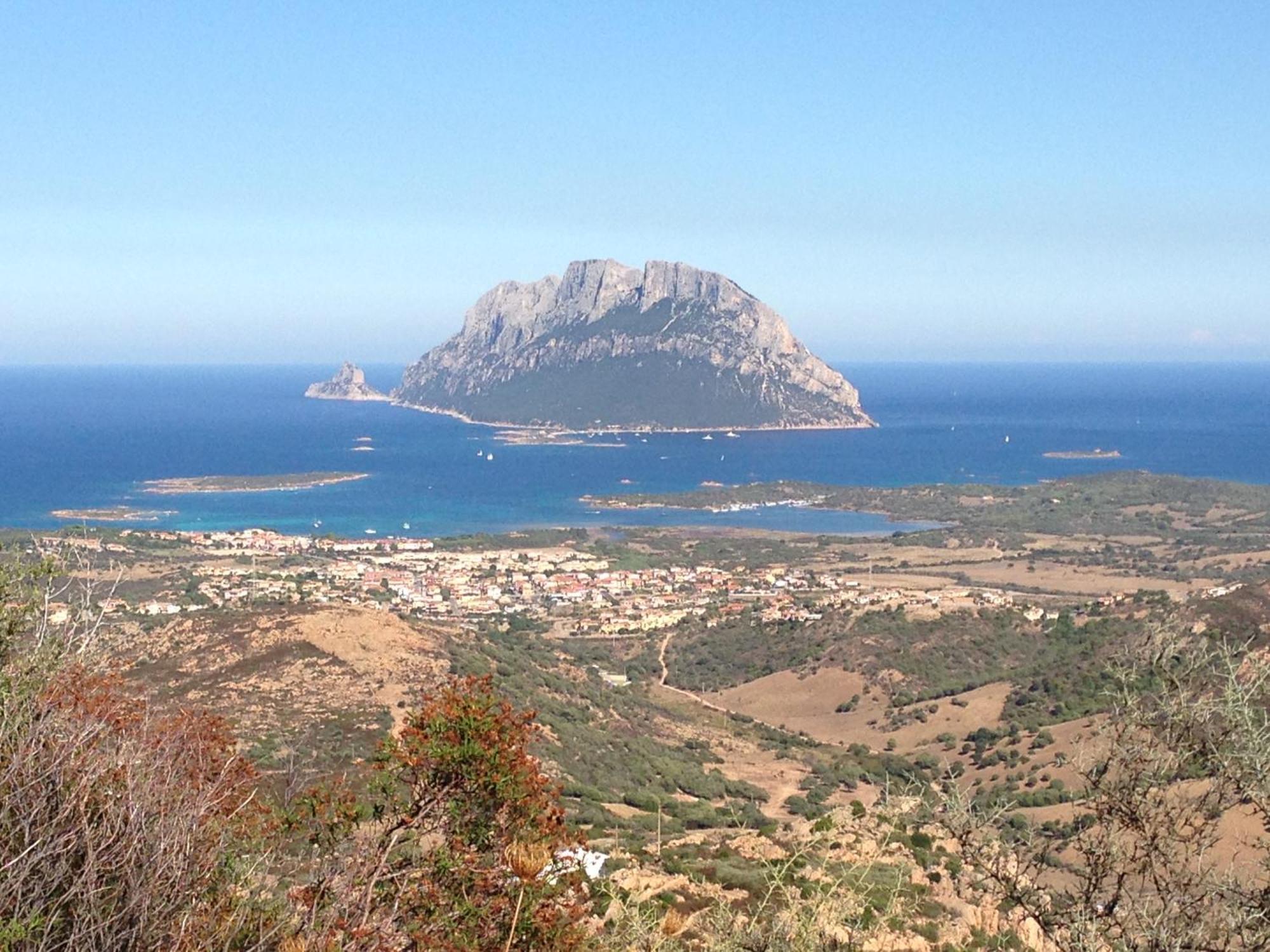 Porto San Paolo A 50 Mt Dal Mare Villa Oda fotoğraf